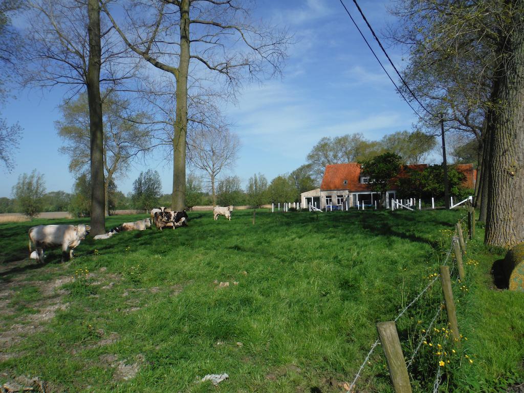 Hof Ter Langeleye Planke Villa Damme Cameră foto